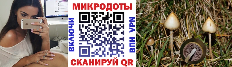 Псилоцибиновые грибы Psilocybine cubensis Купить закладки Вятские Поляны